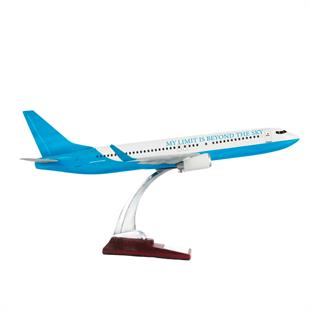 Zekupp Boeing 737-800 1/100 Ölçek My Limit Is Beyond The Sky Tasarım Maket Uçak