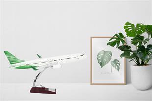Zekupp Boeing 737-800 1/100 Ölçek Yeşil Çizgili Maket Uçak