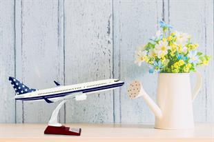 Zekupp Boeing 737-800 1/100 Ölçek Lacivert Yıldızlı Maket Uçak