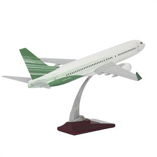 Zekupp Boeing 737-800 1/100 Ölçek Yeşil Çizgili Maket Uçak