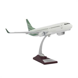 Zekupp Boeing 737-800 1/100 Ölçek Yeşil Çizgili Maket Uçak