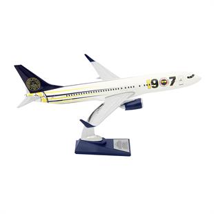 Zekupp Boeing 737-800 1/100 Ölçek Fenerbahçe Lisanslı 1907 Tasarım Maket Uçak