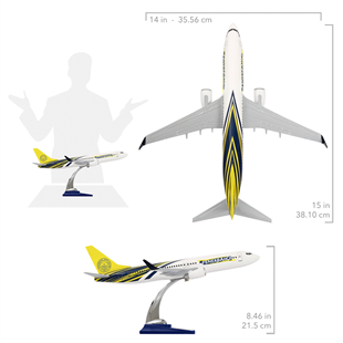 Zekupp Boeing 737-800 1/100 Ölçek Fenerbahçe Lisanslı Tasarım Maket Uçak
