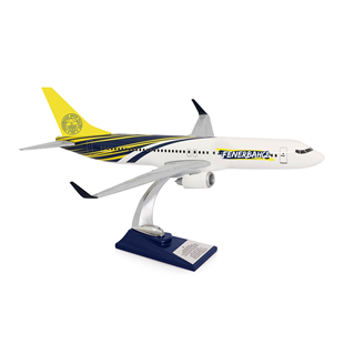 Zekupp Boeing 737-800 1/100 Ölçek Fenerbahçe Lisanslı Tasarım Maket Uçak