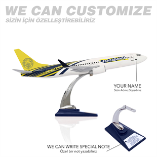 Zekupp Boeing 737-800 1/100 Ölçek Fenerbahçe Lisanslı Tasarım Maket Uçak