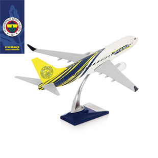 Zekupp Boeing 737-800 1/100 Ölçek Fenerbahçe Lisanslı Tasarım Maket Uçak