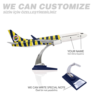 Zekupp Boeing 737-800 1/100 Ölçek Fenerbahçe Lisanslı Çubuklu Tasarım Maket Uçak