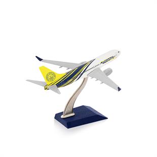 Zekupp Boeing 737-800 1/250 Ölçek Fenerbahçe Lisanslı  Maket Uçak