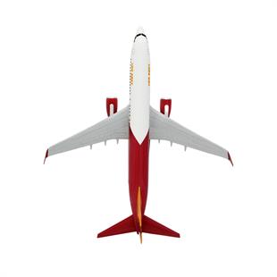 Zekupp Boeing 737-800 1/100 Ölçek Lion King Tasarımlı Maket Uçak