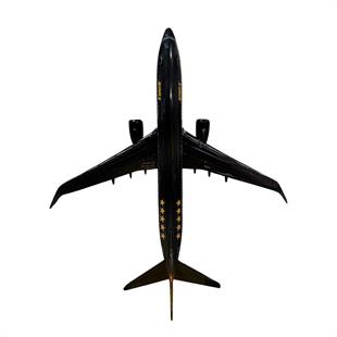 Zekupp Boeing 737-800 1/100 Ölçek Klasik Aslan Tasarımlı Siyah Maket Uçak