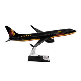 Zekupp Boeing 737-800 1/100 Ölçek Klasik Aslan Tasarımlı Siyah Maket Uçak