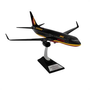 Zekupp Boeing 737-800 1/100 Ölçek Klasik Aslan Tasarımlı Siyah Maket Uçak