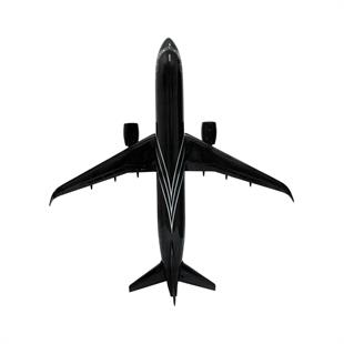 Zekupp Airbus 320-200 1/60 Ölçek Çizgili  Tasarım Keman Boy Maket Uçak