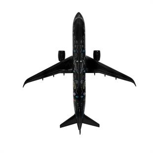 Zekupp Airbus 320-200 1/60 Ölçek Desenli  Tasarım Keman Boy Maket Uçak