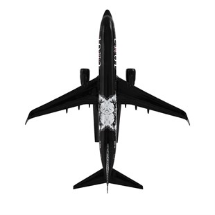 Zekupp Boeing 737-800 1/100 Ölçek Beşiktaş Lisanslı Kara Kartal Tasarım  Maket Uçak