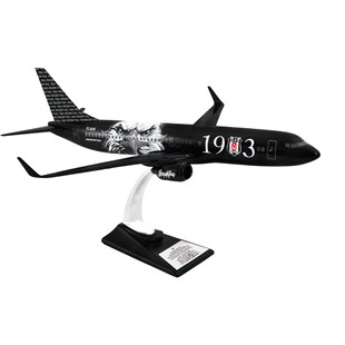 Zekupp Boeing 737-800 1/100 Ölçek Beşiktaş Lisanslı Kara Kartal Tasarım  Maket Uçak