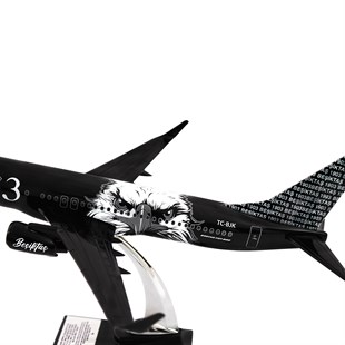 Zekupp Boeing 737-800 1/100 Ölçek Beşiktaş Lisanslı Kara Kartal Tasarım  Maket Uçak