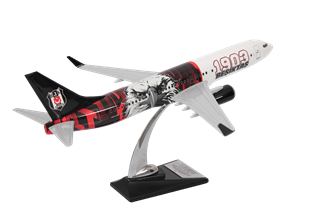 Zekupp Boeing 737-800 1/100 Ölçek Beşiktaş Lisanslı 1903 Beşiktaş Logolu Tasarım Maket Uçak