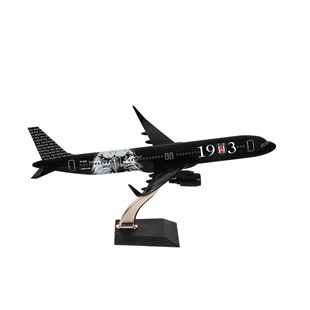 Zekupp Airbus 321 1/200 Ölçek Beşiktaş Lisanslı Kara Kartal Tasarım Maket Uçak