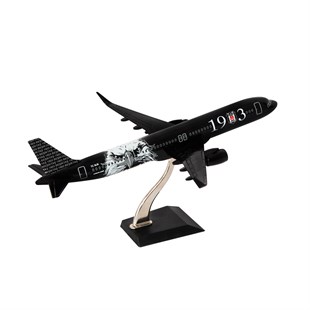 Zekupp Airbus 321 1/200 Ölçek Beşiktaş Lisanslı Kara Kartal Tasarım Maket Uçak