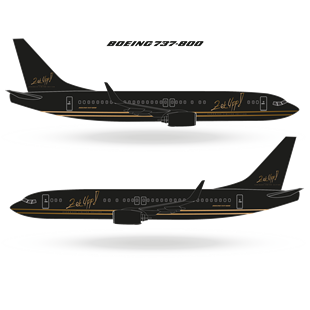 Zekupp Boeing 737-800 1/100 Ölçek Özel Tasarım Maket Uçak 
