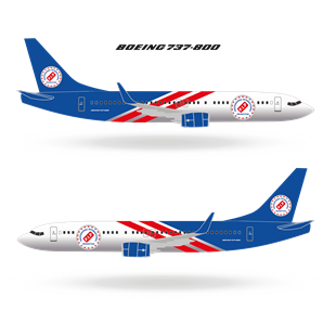 Zekupp Boeing 737-800 1/100 Ölçek Özel Tasarım Maket Uçak 