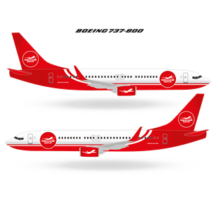 Zekupp Boeing 737-800 1/100 Ölçek Özel Tasarım Maket Uçak 