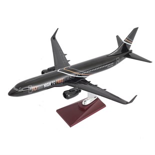 Zekupp Boeing 737-800 1/100 Ölçek FHTF 2 Sloganlı Model Uçak