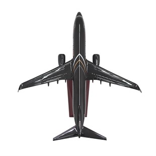 Zekupp Boeing 737-800 1/100 Ölçek FHTF 2 Sloganlı Model Uçak