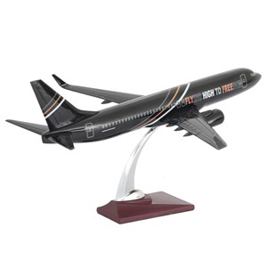 Zekupp Boeing 737-800 1/100 Ölçek FHTF 2 Sloganlı Model Uçak