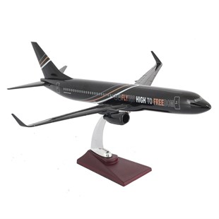 Zekupp Boeing 737-800 1/100 Ölçek FHTF 2 Sloganlı Model Uçak