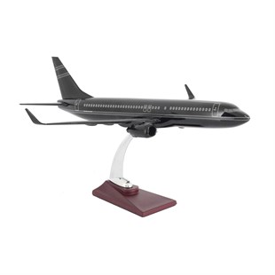Zekupp Boeing 737-800 1/100 Ölçek Çizgi  Detaylı Siyah Tasarımlı Model Uçak
