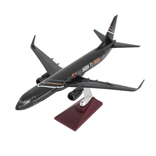 Zekupp Boeing 737-800 1/100 Ölçek FHTF Sloganlı Model Uçak