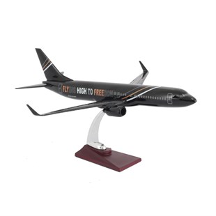 Zekupp Boeing 737-800 1/100 Ölçek FHTF Sloganlı Model Uçak