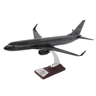 Zekupp Boeing 737-800 1/100 Siyah Çok Çizgili Tasarım Model Uçak