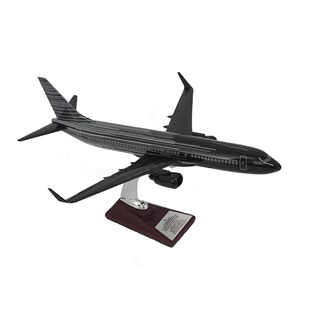 Zekupp Boeing 737-800 1/100 Siyah Çok Çizgili Tasarım Model Uçak