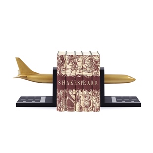 Zekupp Boeing 737-800 Altın Uçak Kitap Desteği