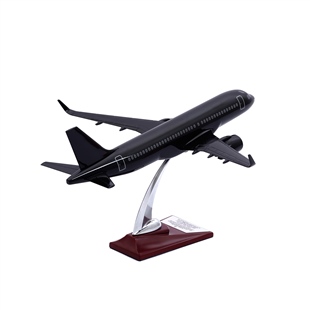 Zekupp - Maket Uçak - Airbus 320-200 1/100 - Siyah Renk ÖZEL TASARIM Model Uçak