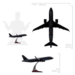 Zekupp - Maket Uçak - Airbus 320-200 1/100 - SİYAH DESENLİ ÖZEL TASARIM Model Uçak