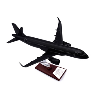 Zekupp - Maket Uçak - Airbus 320-200 1/100 - Siyah Renk ÖZEL TASARIM Model Uçak