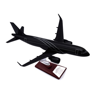 Zekupp - Maket Uçak - Airbus 320-200 1/100 - SİYAH ÖZEL TASARIM Model Uçak