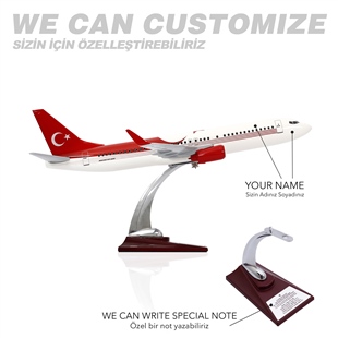 ZekUpp - Maket Uçak - Boeing 737-800 1/100 - TÜRKİYE Özel Tasarımlı Model Uçak
