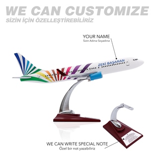 Zekupp - Maket Uçak - Boeing 737-800 1/100 - RENKLİ ÖZEL TASARIM Model Uçak