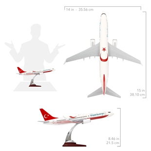 Zekupp - Maket Uçak - Boeing 737-800 1/100 - TÜRKİYE ÖZEL TASARIMLI Model Uçak,  Model D