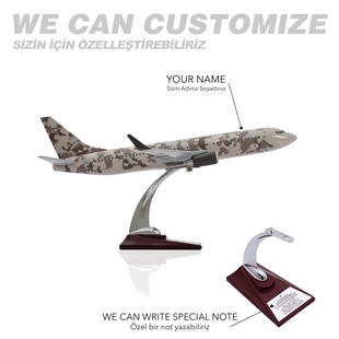 Zekupp - Maket Uçak - Boeing 737-800 1/100 - ASKERİ KAMUFLAJ ÖZEL TASARIM Model Uçak