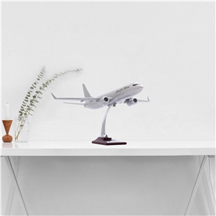 Zekupp - Maket Uçak - Boeing 737-800 1/100 - GÜMÜŞ RENK ÖZEL TASARIM Model Uçak