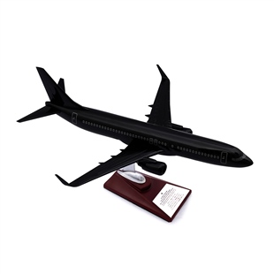 Zekupp - Maket Uçak - Boeing 737-800 1/100 - SİYAH ÖZEL TASARIM Model Uçak
