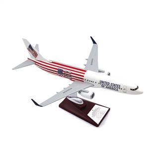 Zekupp - Maket Uçak - Boeing 737-800 1/100 - ABD ÖZEL TASARIM Model Uçak