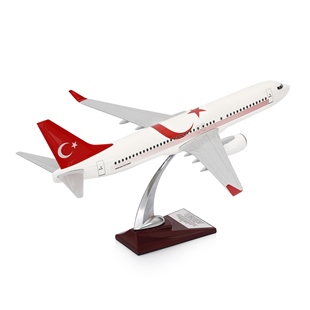 Zekupp - Maket Uçak - Boeing 737-800 1/100 - TÜRKİYE ÖZEL TASARIMLI Model Uçak, Model B