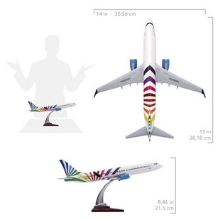 Zekupp - Maket Uçak - Boeing 737-800 1/100 - RENKLİ ÖZEL TASARIM Model Uçak